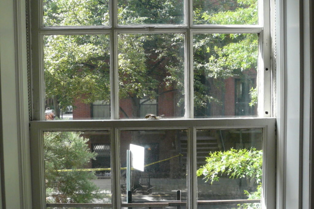 A tall white sash window with divided panes looking out onto green trees